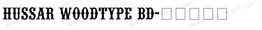 Hussar Woodtype Bd字体转换